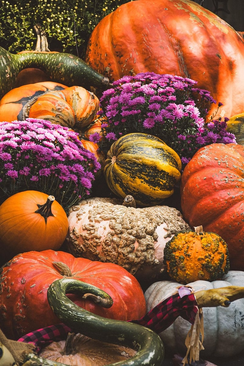 Fall Harvest Fest