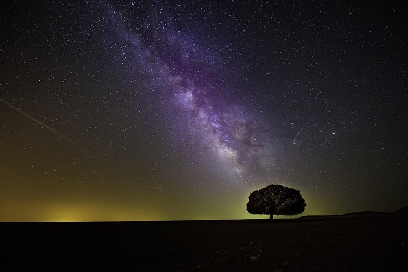 Celestial Skies